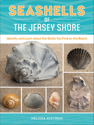 cover image of Seashells of the Jersey Shore